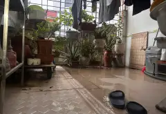 Bán nhà riêng 37.1m² - Lê Chân, Hải Phòng - Giá 2,5 tỷ VNĐ, gần phố Nguyễn Công Trứ... Bán nhà riêng tại Lê Chân, Hải Phòng 01