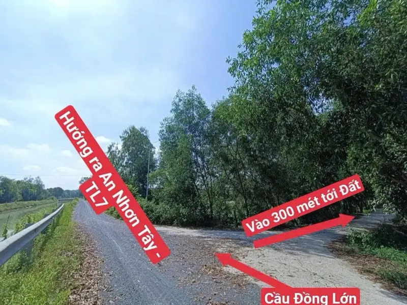 Bán đất 533m2 xã Trung Lập, Củ Chi giá 1.3 tỷ, mặt tiền 12m... Bán đất tại Thái Mỹ, Hồ Chí Minh 01