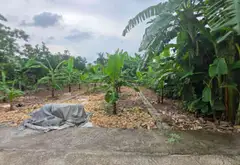 Cơ Hội Vàng Sở Hữu Đất Vàng Tại Hưng Yên - Chỉ 1,55 Tỷ!... Bán đất tại Chí Minh, Hưng Yên 01