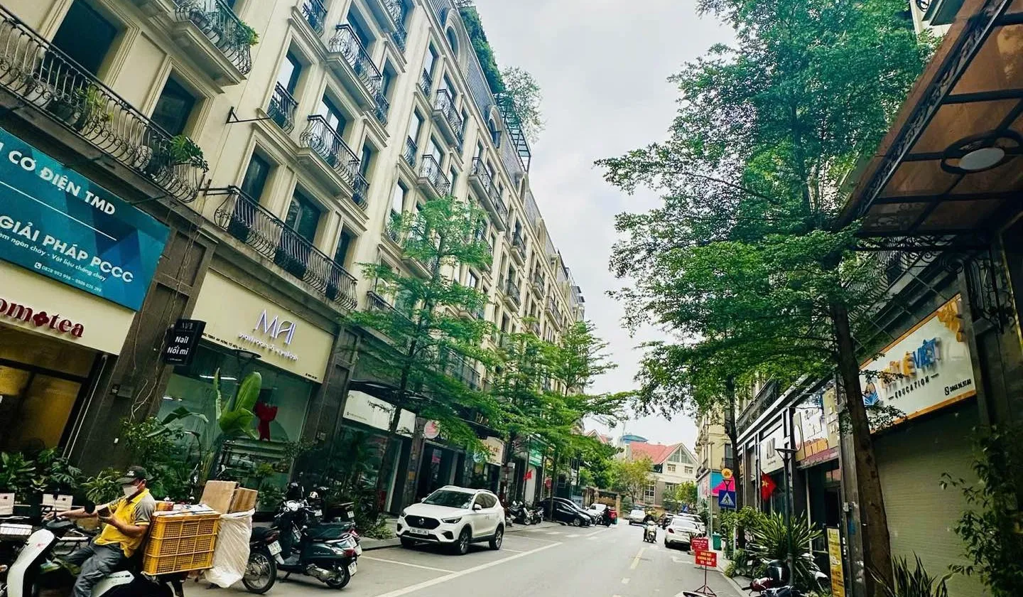 Biệt thự góc vị trí đắc địa liền kề khu đô thị Terra An Hưng... Bán biệt thự, liền kề tại Hà Đông, Hà Nội 01