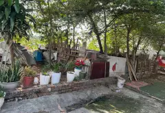 Bán đất thôn diện tích 43,9m², mặt tiền 4m, giá 4,25 tỷ đồng... Bán đất tại Đông Anh, Hà Nội 02