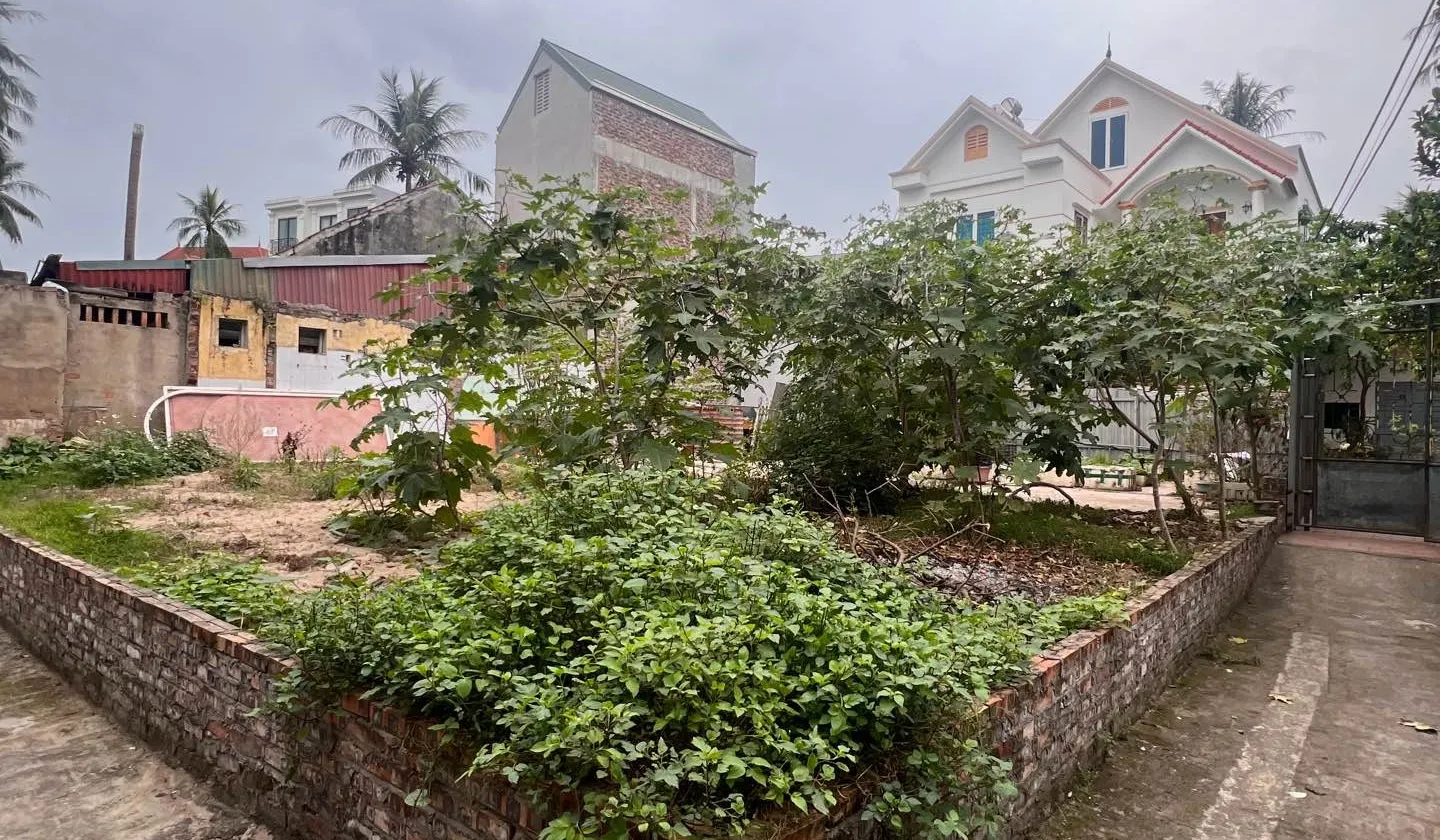 Đất - 178m² - Sơn Đồng, Hoài Đức, Hà Nội - 8.5 tỷ... Bán đất tại Sơn Đồng, Hà Nội 01