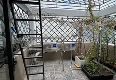 Bán Nhà đường 26/3 - Bình Tân giáp AEON Tân Phú - Hẻm ô tô tránh - 57m2 - 8.5 tỷ... Bán nhà riêng tại Bình Hưng Hòa, Hồ Chí Minh 12