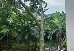 Đất 29.17.9 Quán Chảy (Thửa đất 99F và 99E Xóm 4, Thôn Đồng Nhân) 120m2 6.6 tỷ... Bán đất tại An Khánh, Hà Nội 06