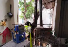 MẶT PHỐ CỔ - LÕI HOÀN KIẾM: KÈO SƯU TẦM DÀNH RIÊNG CHO TÍN ĐỒ TÂM LINH & PHONG THỦY... Bán nhà mặt phố tại Hoàn Kiếm, Hà Nội 04