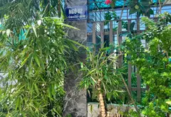 Nhà sang xịn nằm ngay trung tâm An Hải - Vừa ở vừa kinh doanh cực chất... Bán nhà riêng tại An Hải, Hải Phòng 11