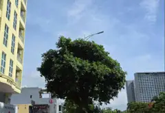 Bán Đất Mặt Biển Võ Nguyên Giáp – Đầu Tư Tiềm Năng... Bán đất tại Ngũ Hành Sơn, Đà Nẵng 04