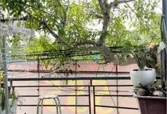 Bán nhà mặt tiền kinh doanh Bờ Bao Tân Thắng Tân Phú 56m2 nở hậu, hợp đồng thuê 20tr/th nhỉnh 12 tỷ... Bán nhà riêng tại Tân Sơn Nhì, Hồ Chí Minh 03