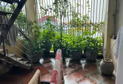 Nhà mặt phố Lạc Long Quân siêu hiếm, ô tô tránh, kinh doanh đỉnh... Bán nhà mặt phố tại Nghĩa Đô, Hà Nội 05