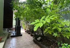 Bán biệt thự khu đô thị Dịch Vọng, 210m2, pháp lý rõ ràng... Bán biệt thự, liền kề tại Cầu Giấy, Hà Nội 03