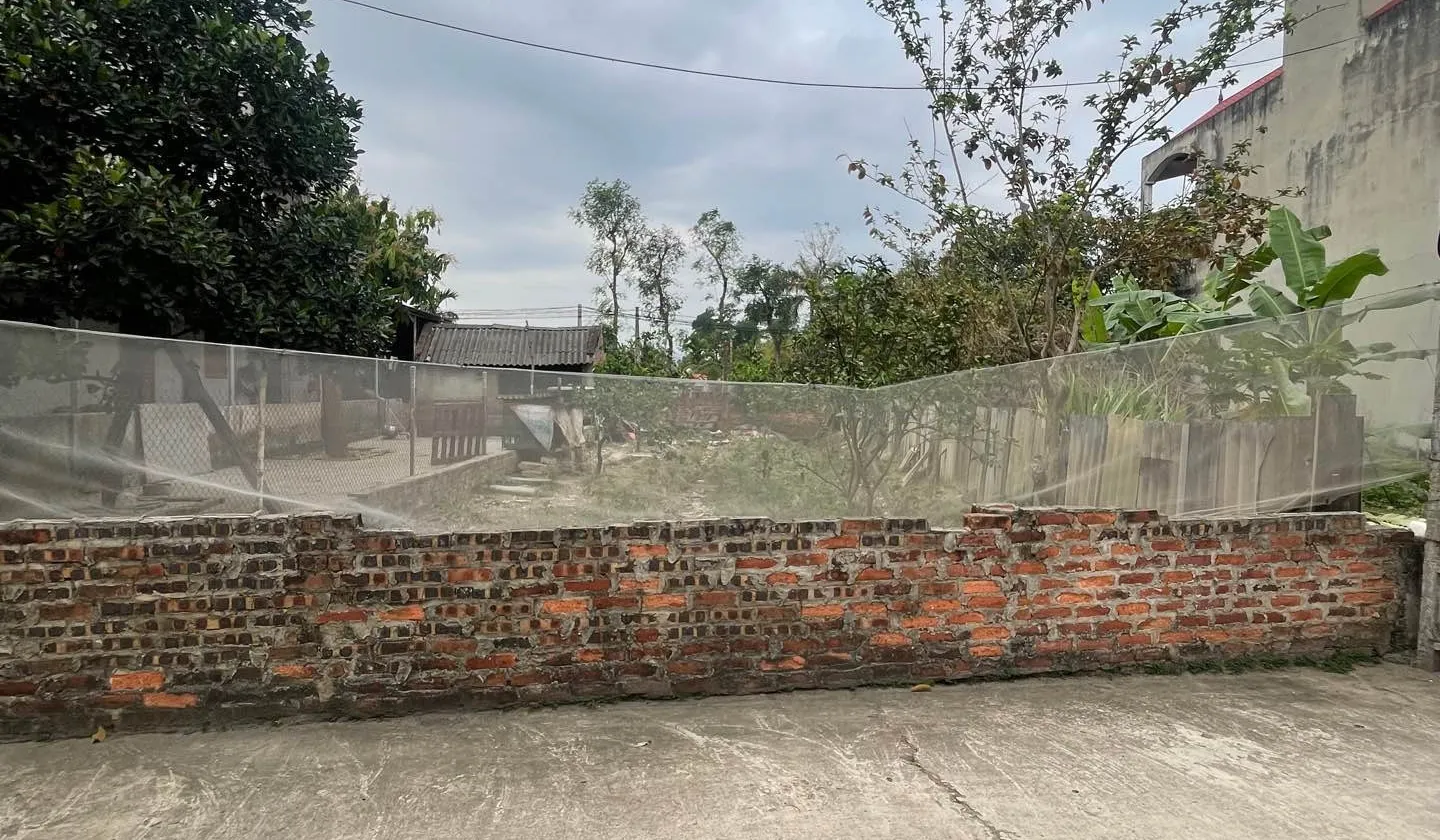 Đất nền đẹp tại Quang Tiến - Cơ hội vàng cho đầu tư!... Bán đất tại Nội Bài, Hà Nội 01