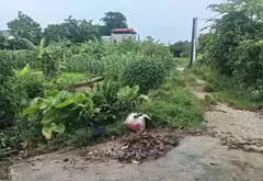 Cơ Hội Sở Hữu Lô Đất Vàng Tại Sóc Sơn - DT 79m2 - Giá Chỉ Hơn 1 Tỷ - Đường Ô Tô - Quá Ngon... Bán đất tại Sóc Sơn, Hà Nội 05