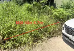 Đất nền Xuân Viên địa thế phong thủy, vị trí đắc địa và tiềm năng đầu tư bền vững... Bán đất tại Kinh Bắc, Bắc Ninh 01