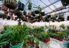 BÁN NHÀ 4,5TẦNG TIÊN HÙNG PHÚC THỊNH
ĐÔNG ANH VỀ Ở LUÔN OTO 7CHỖ ĐỖ CỦA KINH DOANH ĐƯỢC... Bán owner_side tại Phúc Thịnh, Hà Nội 02