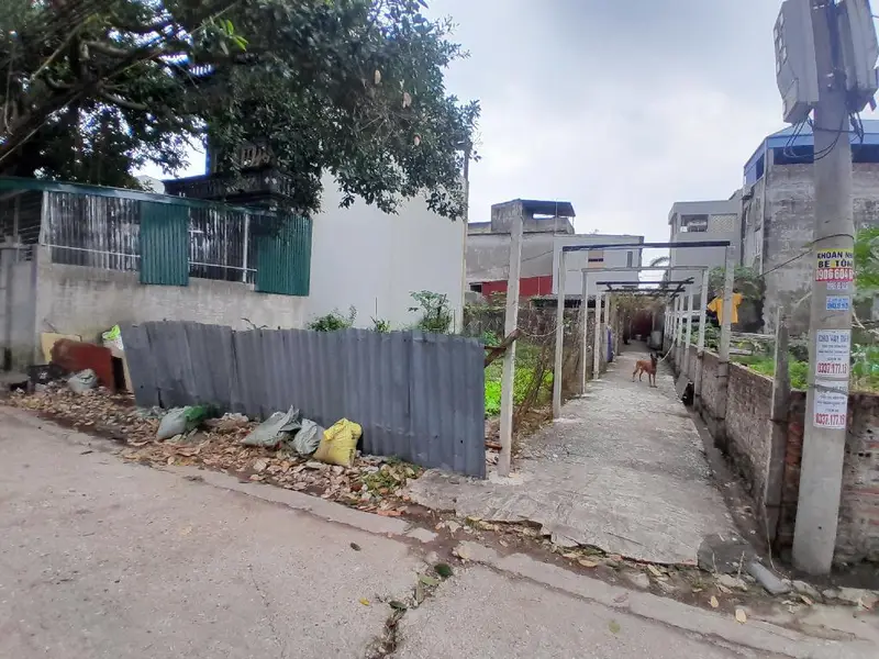 Bán đất 159 m² mặt tiền 8 m tại xã Lương Quy - Xuân Nộn, giá 13.8 tỷ... Bán đất tại Phúc Thịnh, Hà Nội 01