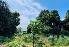 Đất nền biệt thự view Đại Lộ Thăng Long tại Đồng Quang Quốc Oai... Bán đất tại Quốc Oai, Hà Nội 08