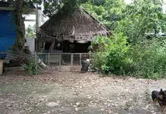 Đất Vườn Lớn Gần Bệnh Viện Nhi Đồng 3 - Cơ Hội Vàng Đầu Tư... Bán đất tại Tân Nhựt, Hồ Chí Minh 09