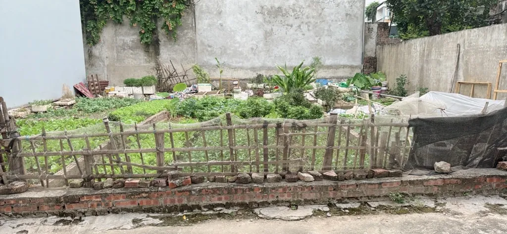 Bán đất 46,6m² tại tổ 25 Đông Anh, giá ưu đãi giảm 890 triệu... Bán đất tại Đông Anh, Hà Nội 01