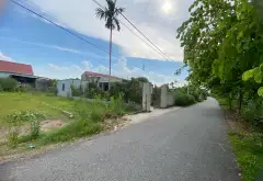 Cơ hội sở hữu đất vàng An Trường ngay trung tâm phát triển Tràng Duệ 3... Bán đất tại An Trường, Hải Phòng 04