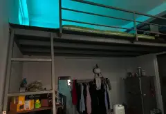 Cơ Hội Vàng Sở Hữu Nhà Dịch Vụ Thu Nhập 900 Triệu/Năm Tại Huỳnh Tấn Phát... Bán nhà riêng tại Tân Thuận, Hồ Chí Minh 12