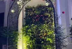 Biệt thự liền kề sang trọng tại khu đô thị Vinhomes Imperia, Hải Phòng... Bán biệt thự, liền kề tại Hồng Bàng, Hải Phòng 09