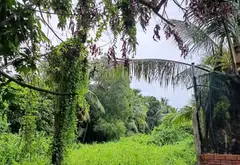 Cơ hội hiếm có sở hữu 1200m đất Thới An giá chỉ 5.7 tỷ... Bán đất tại Thới An, Hồ Chí Minh 09