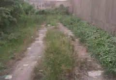 Cơ hội hiếm có sở hữu đất vàng Bình Tân ngay khu vực sầm uất... Bán đất tại Bình Tân, Hồ Chí Minh 06