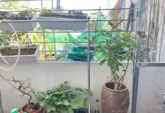 Nhà mặt phố 1,5 tầng 2 mặt đường vị trí vàng tại Trực Cát, Vĩnh Niệm... Bán nhà mặt phố tại An Biên, Hải Phòng 10