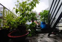 Nhà Mặt Phố Trung Tâm Quận 3, 9 Phòng, Tiềm Năng Kinh Doanh... Bán nhà mặt phố tại Vườn Lài, Hồ Chí Minh 02
