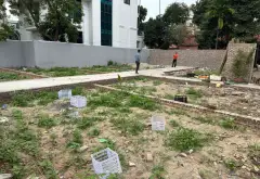 Bán đất 41m² - Thôn Tuấn Dị, Hưng Yên - Giá 1.45 tỷ, Tiềm năng đầu tư lớn... Bán đất tại Như Quỳnh, Hưng Yên 03