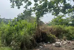 MẢNH ĐẤT LỚN TỔNG CỘNG CÓ SỔ HỒNG TỔNG 969m2 Đất thổ cư Đất 2 mặt tiền tiện phân lô tách thử, xây... Bán partner tại Nhà Bè, Hồ Chí Minh 06