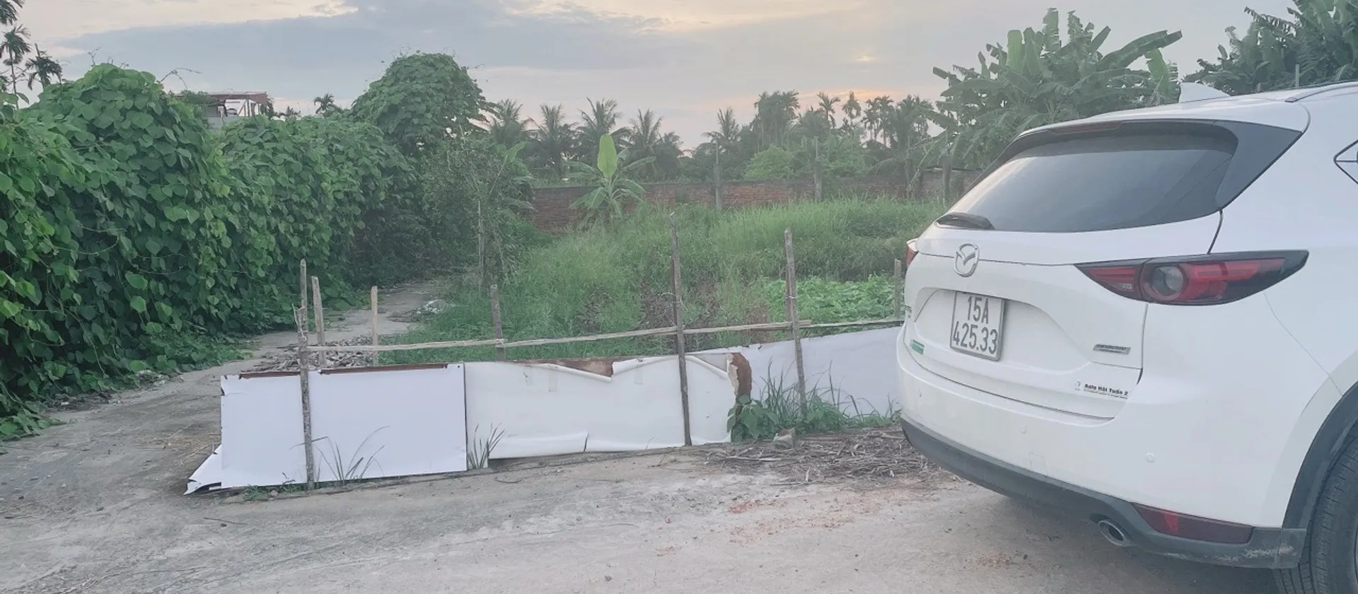 Cơ Hội Vàng Sở Hữu Đất Đẹp Thôn Đông Lâm Động... Bán đất tại Thiên Hương, Hải Phòng 01