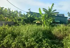 Đất nền thửa đẹp tại xã Kiến Quốc, Kiến Thụy với ngõ thông rộng ô tô đi qua... Bán đất tại Kiến Thụy, Hải Phòng 01