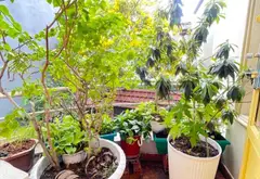 Cơ hội sở hữu nhà 2 tầng vị trí vàng quận Gò Vấp, giá tốt đáng đầu tư... Bán nhà riêng tại An Hội Tây, Hồ Chí Minh 14