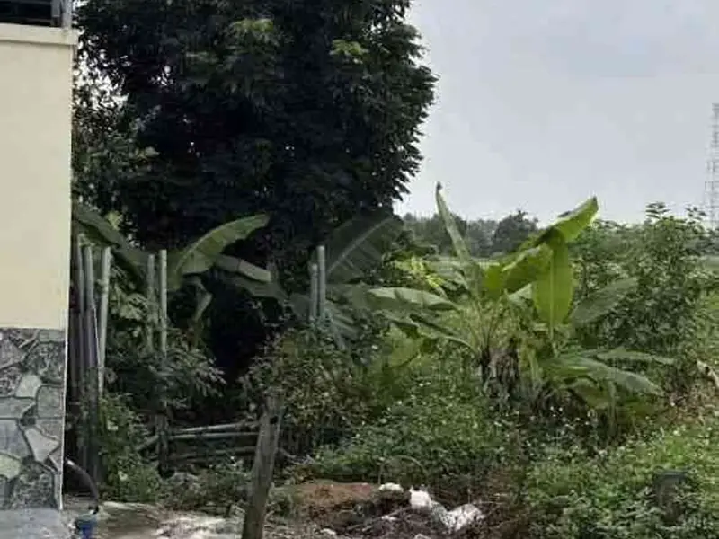 Đất nền rộng rãi tại phường Thiên Hương, Thủy Nguyên, Hải Phòng... Bán đất tại Thiên Hương, Hải Phòng 01