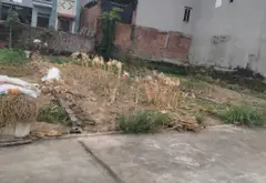 Bán đất mặt tiền 5.2m, 86m², giá 1.950 tỷ tại khu dân cư đông đúc... Bán đất tại Trung Giã, Hà Nội 02