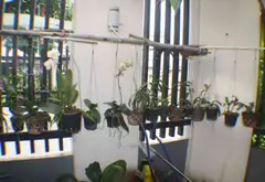 Bán nhà mặt phố 3 tầng diện tích 115m2 tại Tăng Nhơn Phú... Bán nhà mặt phố tại Tăng Nhơn Phú, Hồ Chí Minh 04