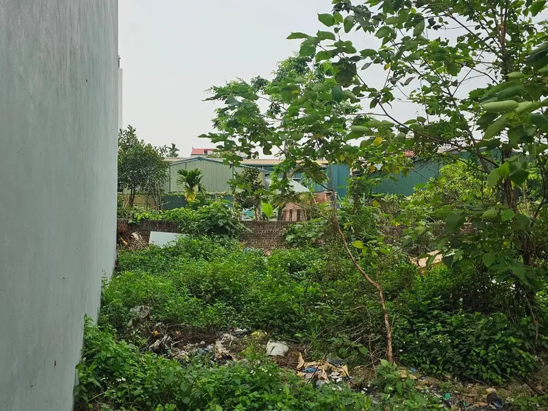 Bán đất khu đấu giá thôn Tương Chúc, xã Nam Phù, vị trí đắc địa giao thông thuận tiện... Bán đất tại Nam Phù, Hà Nội 01