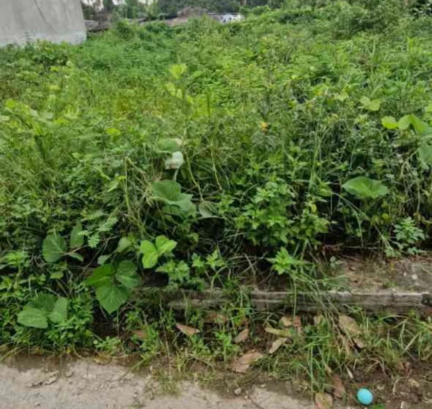 Lô Đất Vàng Giữa Tiện Ích Đầy Đủ Tại Khu Vực Năng Động... Bán đất tại Thiên Hương, Hải Phòng 01