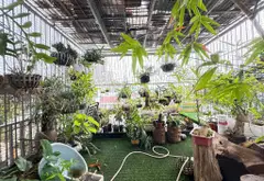 Biệt thự liền kề An Hưng - hiện đại, thang máy, full nội thất... Bán biệt thự, liền kề tại Dương Nội, Hà Nội 14