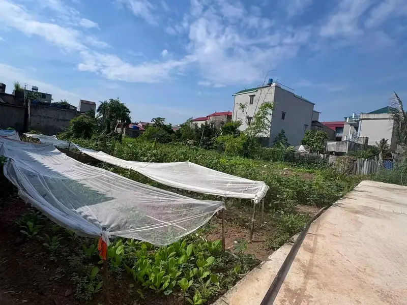 120M² PHÚ LÂM GIÁ KHOẢNG 20 TRIỆU/M² – GẦN KHU VỰC SUN GROUP... Bán đất tại Tiên Du, Bắc Ninh 01