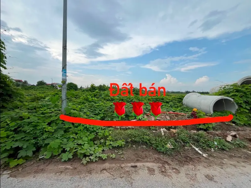 Bán đất 110m2 mặt tỉnh lộ 281 tại phường Ninh Xá, Bắc Ninh... Bán đất tại Ninh Xá, Bắc Ninh 01