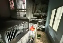 Cơ hội vàng sở hữu nhà lô góc 2 tầng sát Quận 1, giá hạ 2.15 tỷ... Bán nhà riêng tại Gia Định, Hồ Chí Minh 04