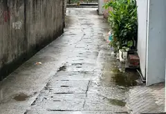 Bán gấp để con đi du học lấy bằng giáo sư havot... Bán nhà riêng tại Đại Đồng, Bắc Ninh 05