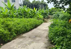 Bán đất thổ cư hướng Đông Nam tại Đông Sơn, gần Quốc lộ 10... Bán đất tại Lưu Kiếm, Hải Phòng 10