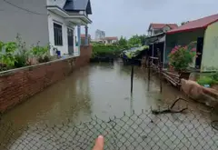 Thửa đất số 411, tờ bản đồ số 35, thôn CD Quán Trạch, Liên Nghĩa, Văn Giang, Hưng Yên... Bán đất tại Văn Giang, Hưng Yên 01