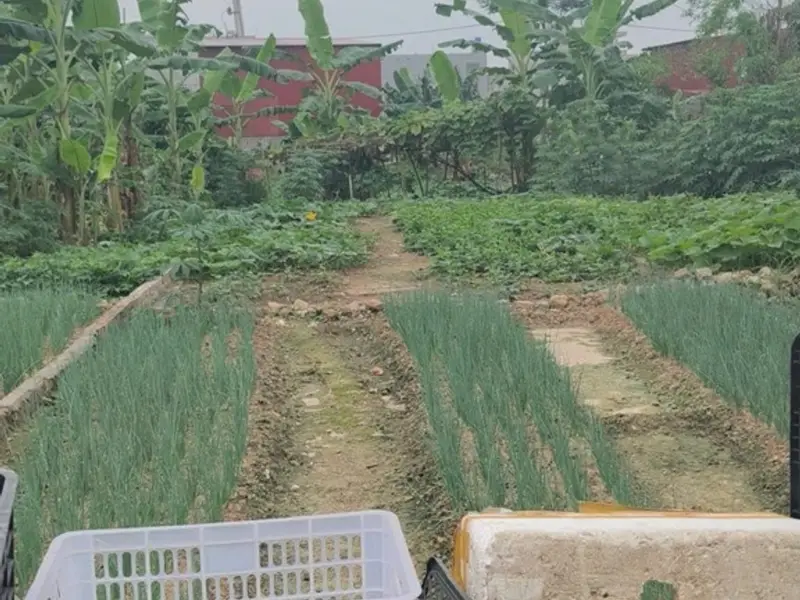 Đất đẹp hai mặt thoáng, oto đỗ cửa, hiếm khu công nghiệp Thuận Thành... Bán đất tại Ninh Xá, Bắc Ninh 01