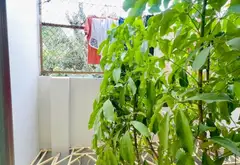 Cơ hội sở hữu nhà 2 tầng vị trí vàng quận Gò Vấp, giá tốt đáng đầu tư... Bán nhà riêng tại An Hội Tây, Hồ Chí Minh 10