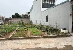 Đất ô tô đỗ cửa, vị trí vàng Sóc Sơn... Bán đất tại Sóc Sơn, Hà Nội 05