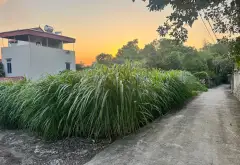 🔥 ĐẤT CHIA LÔ, Ô TÔ VÀO ĐẤT, HAI MẶT THOÁNG TẠI NGỌC XÁ, ĐÀO VIÊN, BẮC NINH| 85,1M² –CHỈ 1,x TỶ... Bán đất tại Đào Viên, Bắc Ninh 01